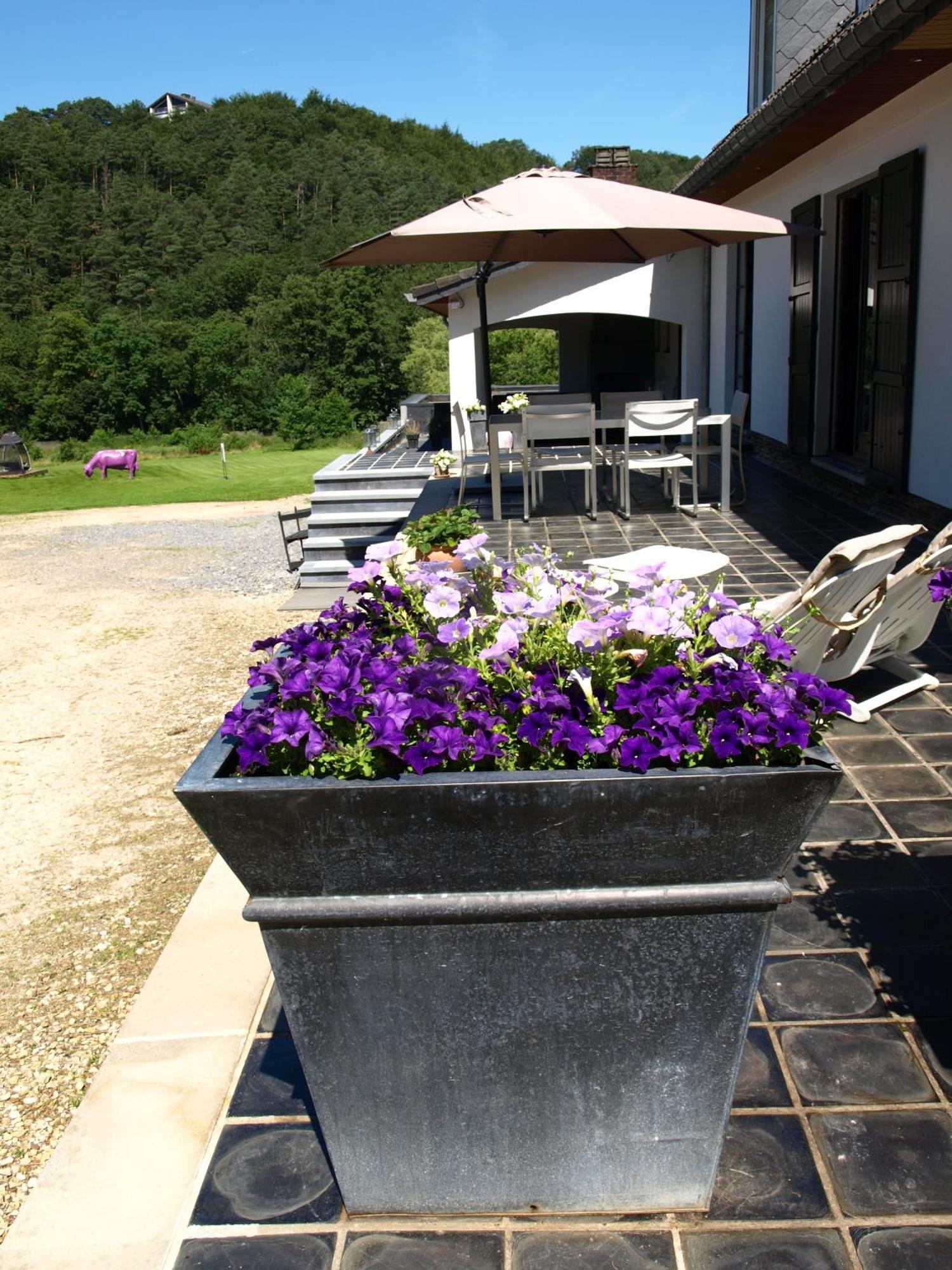 Studio & Appartement Au Lac Sart-lez-Spa ภายนอก รูปภาพ